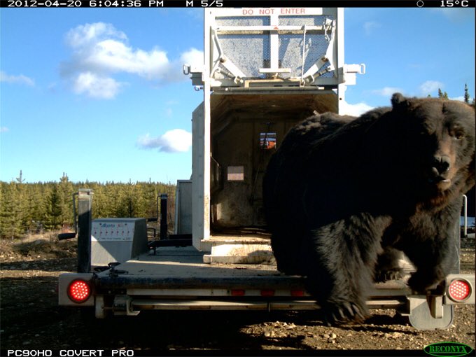 The Thankful Outdoorsman tweet media