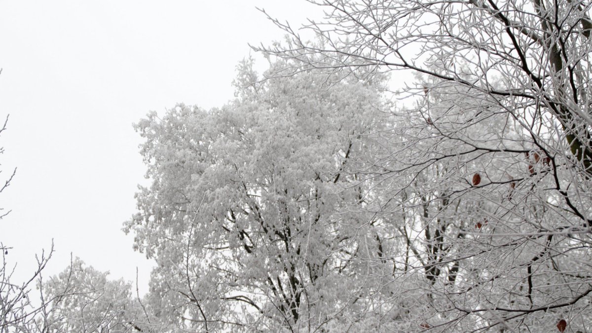 DancingPolygon's tweet image. tmblr.co/Zb5tei2Gedx8h  - Pure White // Dancing Polygon 
#photography #atmosphere #abstract #blackandwhite