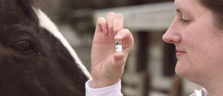 CVEWC's tweet photo. University of Saskatchewan Develops Endoscopy Capsule (Camera Pill) For Horses https://t.co/Tuz4DigwTw https://t.co/RlH5ibFKjI