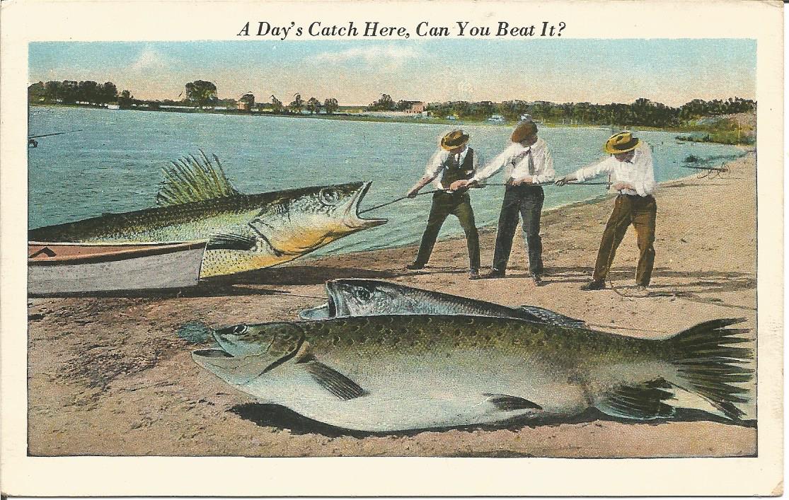 RunHollyhock's tweet photo. #vintagepostcards #comicpostcards #fishing https://t.co/4nENbwdM57
