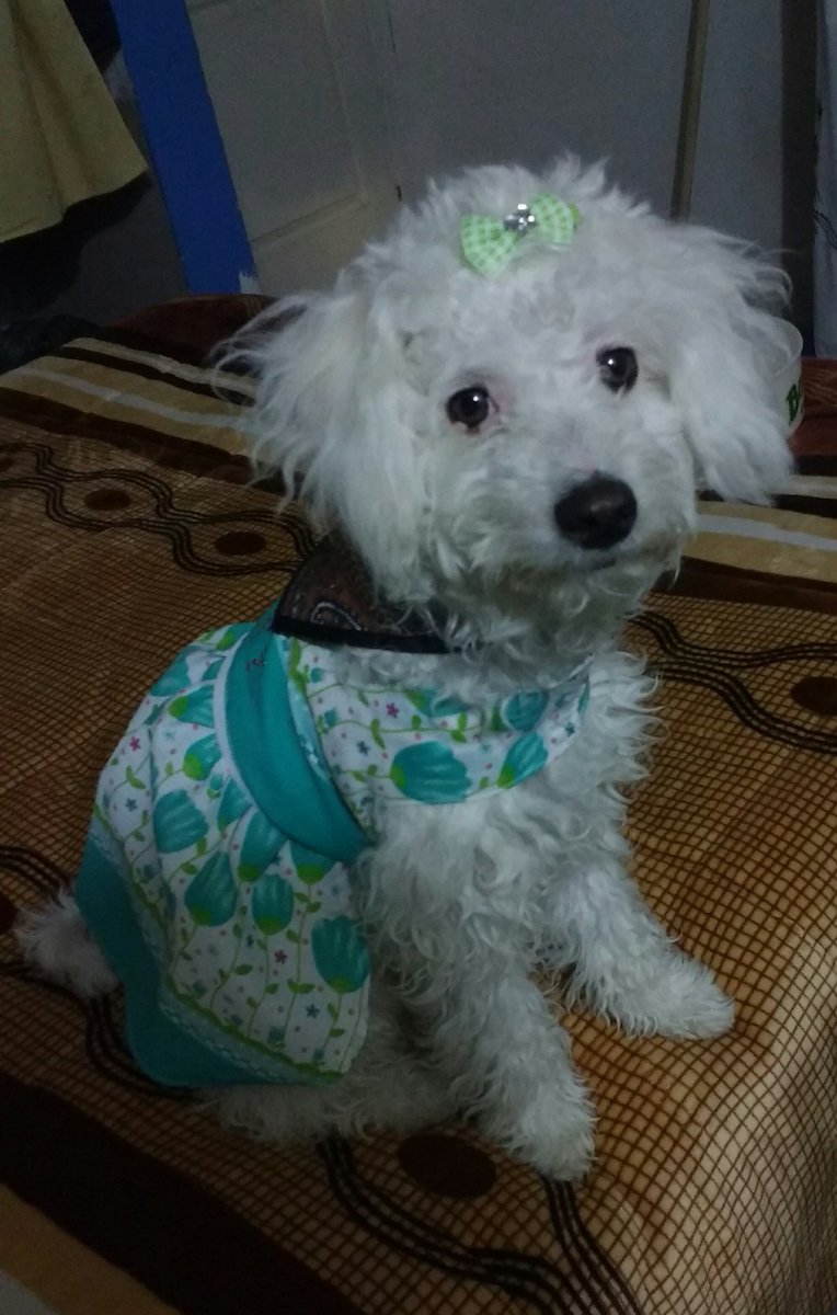 eva flores tweet media