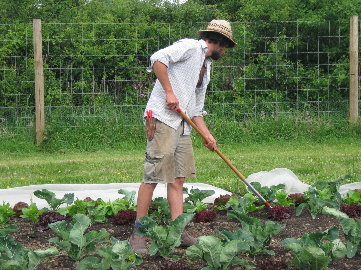 Check out our Market Gardening course - booking now available bit.ly/2j0AEnO <a href="/OGAgrowers/">Organic Growers Alliance</a> <a href="/WWOOFUK/">WWOOF UK - Membership Organisation & Charity</a> <a href="/GroundspringUK/">Groundspring Network</a> @LandworkersUK