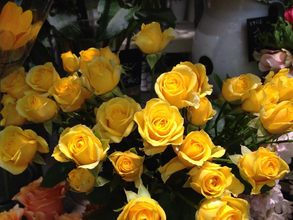 こんにちは <a href="/uran_nlp/">ウラン（浦登記うら・とき）NLP心理学トレーナー。受け止め方、味噌汁健康法、認知症改善アドバイザー。</a> <a href="/cashyoko/">樋口陽子</a> <a href="/AkemiKawaguchi8/">川口明美(Akemi)</a> <a href="/KoichiHagiwara/">Koichi Hagiwara</a> <a href="/YUMESOGEN/">松本英美</a> <a href="/dietclass/">ダイエットコーチ</a> <a href="/fukusyunyu/">政治問題を真剣に考える</a> <a href="/bengoshihoken/">ぽらりす</a> <a href="/dream77id/">副業</a> <a href="/cashyoko/">樋口陽子</a> <a href="/jbjktf/">qp</a>