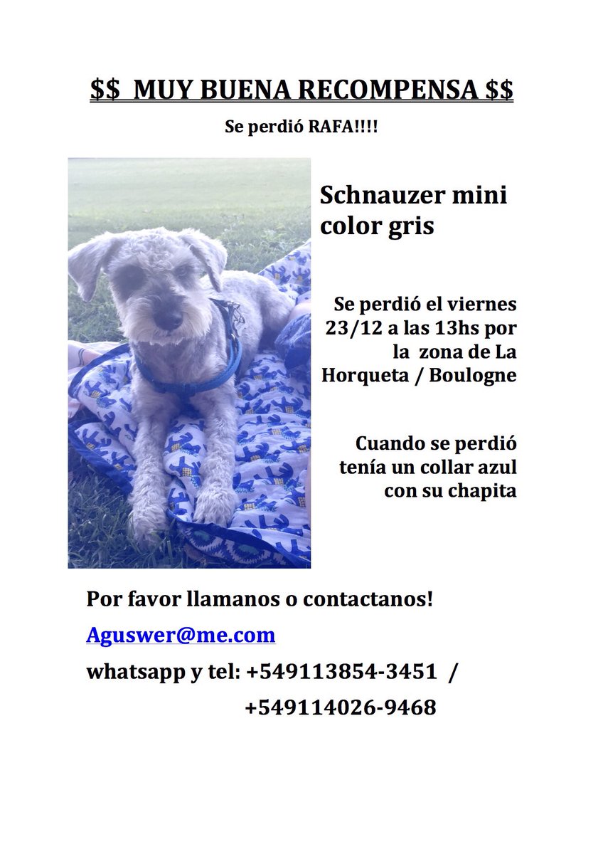 Por favor seguimos buscando🙏🙏🙏🙏 sigue sin aparecer!!  <a href="/TiniStoessel/">tini</a> @riverocalu <a href="/paulitachaves/">PAULA</a> <a href="/LeoPonzio_ok/">Leonardo Ponzio</a> <a href="/nachoviale/">Nacho Viale</a>   RT por favorr