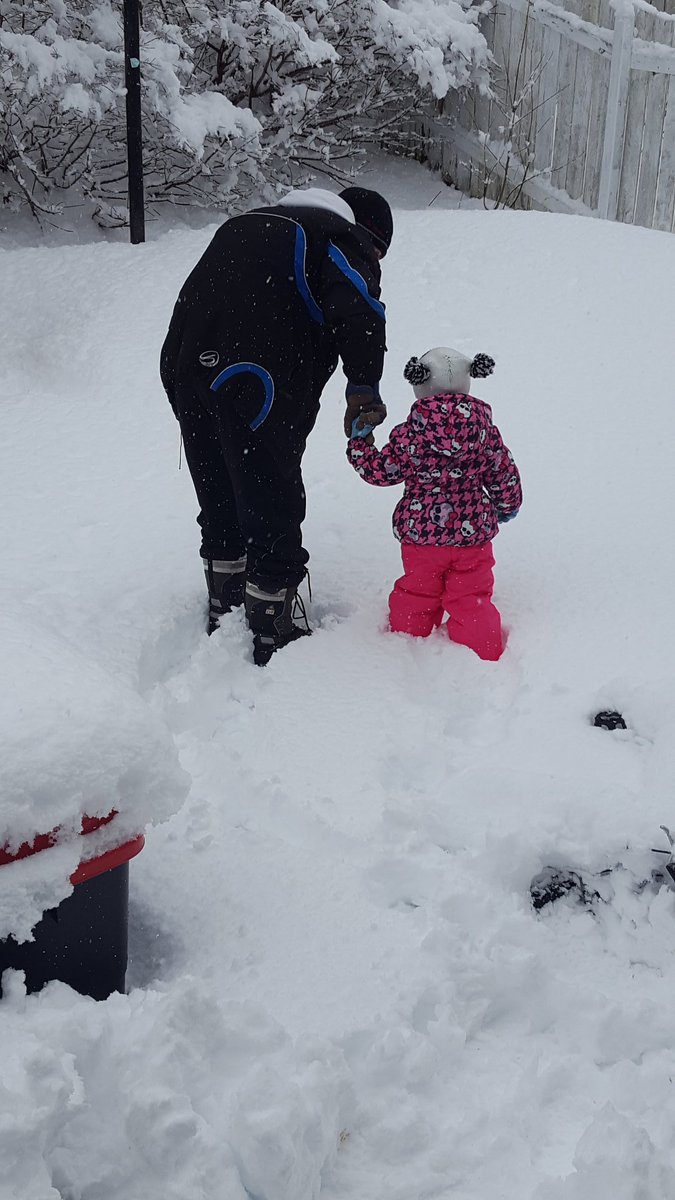 laurieamapes's tweet photo. #newfoundlandwinter https://t.co/dsrDoBNuoz