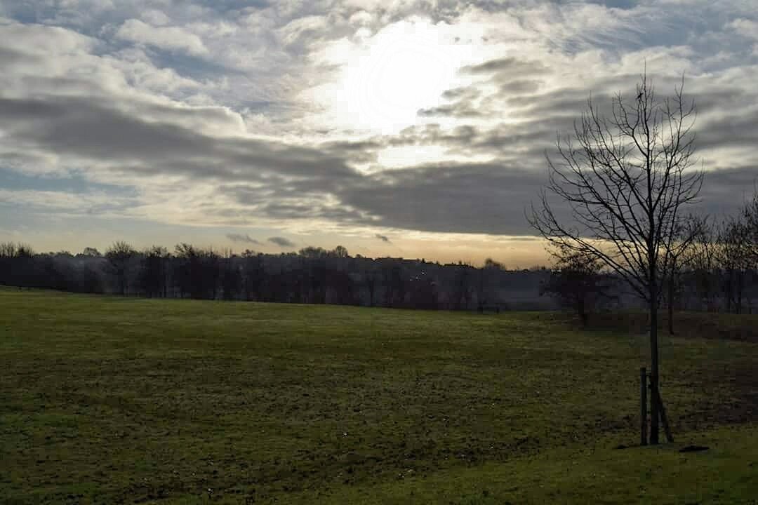 jeddys1's tweet photo. #trowell #fieldsfarm #newhouses https://t.co/PoVfo4Gd58