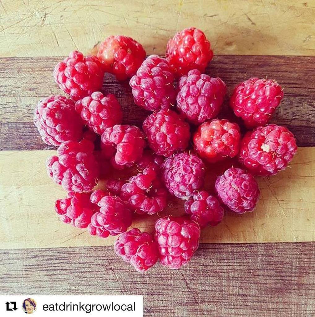 Happy new year everyone! Did you make any resolutions to eat more locally sourced food? You'd be patting yourself o…