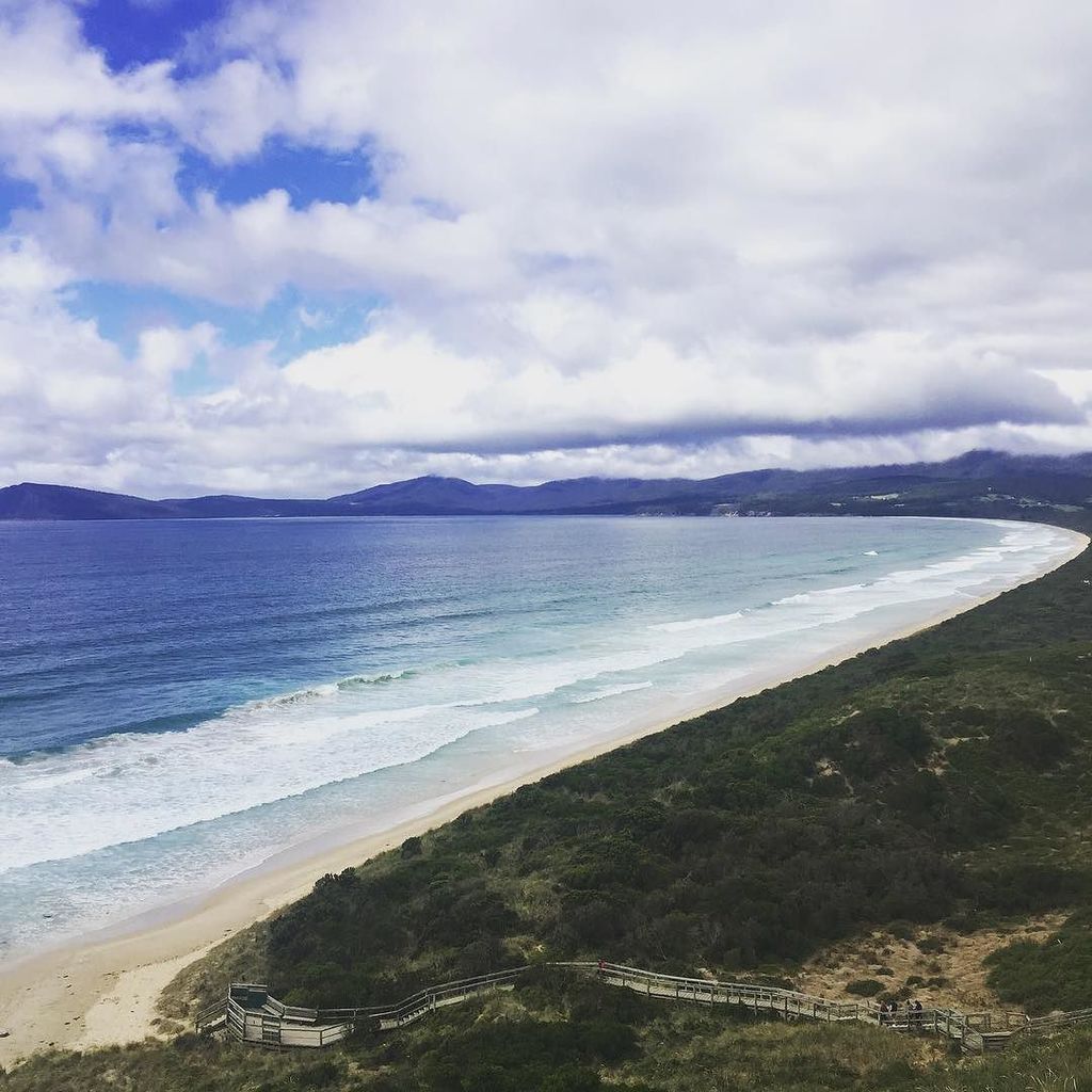 MakeDoCo's tweet image. Last night we saw dozens of penguins 🐧 trek in from the sea to feed their bubbas waiting i… ift.tt/2hLohKk