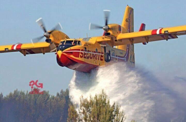 murdockoficial's tweet image. RT si crees q hay q bajar sueldo a parlamentarios para comprar aviones bomberos de incendios forestales #alertaroja