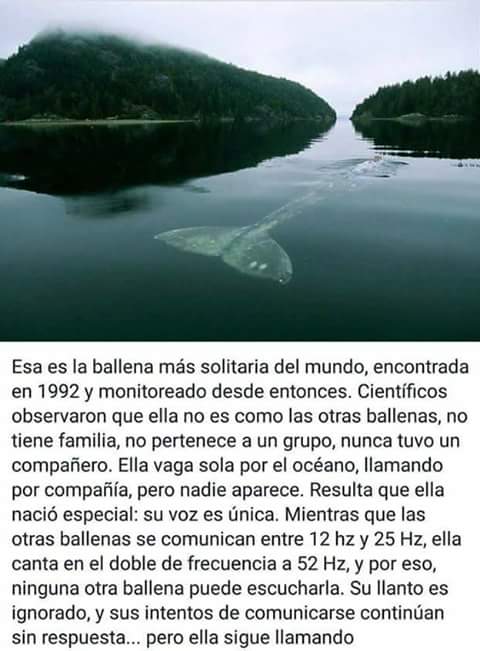 94hslt's tweet photo. esto me partió el alma https://t.co/kc24pvnv44