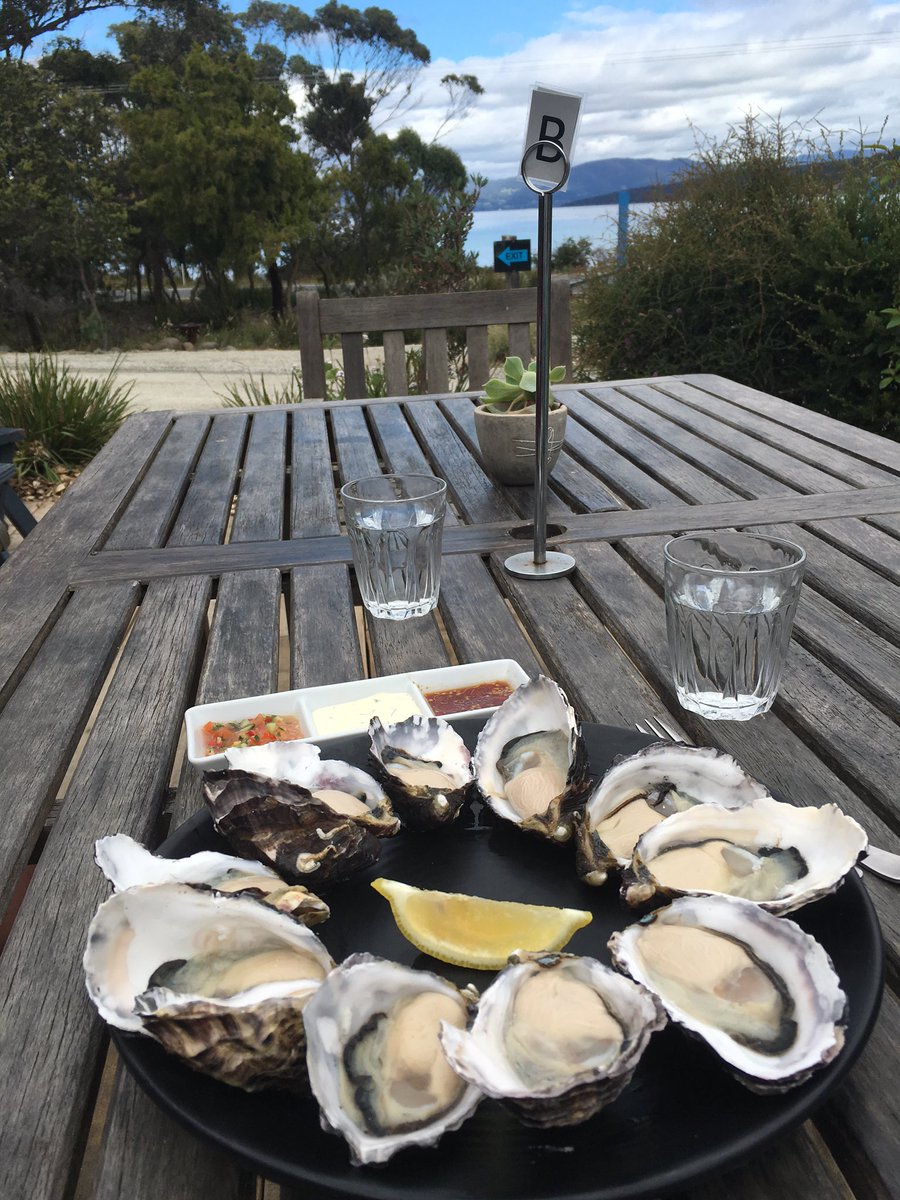 #breakfastwithaview #oysters at <a href="/getshucked/">Get Shucked</a> <a href="/brunyisland/">David Gunton</a> #tasmaniaadventures #foodieonholiday
