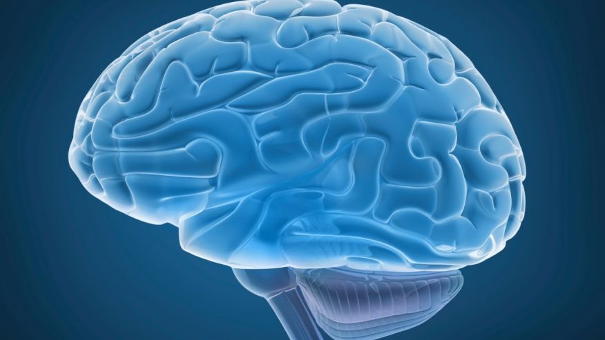Memory research could advance treatments of mental illness. #HealthcareNews #MentalIllness 
ow.ly/MZ5t306Z7eR