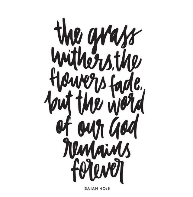 Forgedt's tweet photo. Download @JohnPiper's #FighterVerse app and set yourself up to memorize some new scripture this year! You won't regret it! https://t.co/6ECNJKpZz2