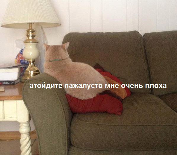 после новой серии Шерлока
#Sherlock