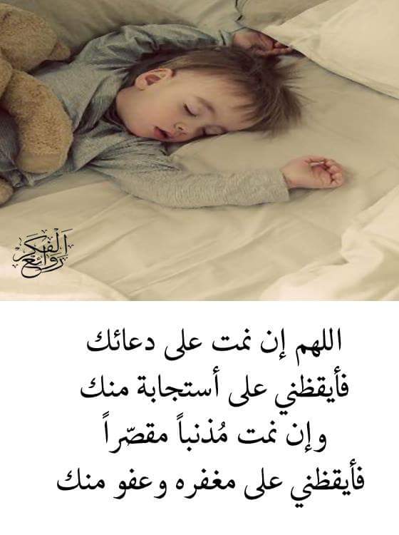 نور الامل (@8d61eed80eec441) on Twitter photo 