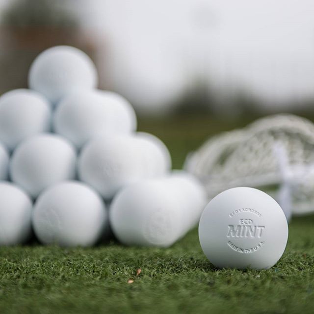 EastCoastDyes's tweet photo. Fresh year. Fresh Mints. 
#ECDmint  #AlwaysFresh https://t.co/2vAfGTEhVh