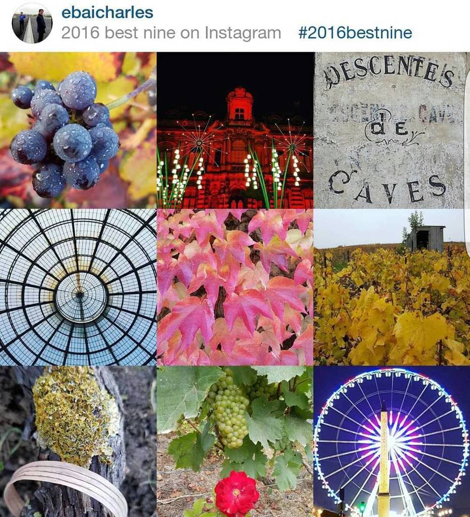 eBaiCharles's tweet photo. Mon #bestnine2016 avec 2 tendances marquées: #couleurs ou #nature, déclinées en #feuilles #fleurs #vignes #vignob… https://t.co/0nXLeSxpTo