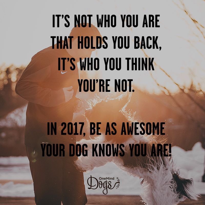 OneMindDogs's tweet photo. "It's not who you are that holds you back, it's who you think you're not. In 2017, be as awesome as your dog KNOWS you are!" #dogs #omdpack https://t.co/jFdnj24CNC