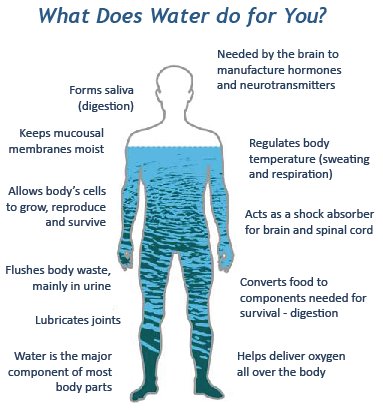 SpaExplorer's tweet image. What does water do for you? Keep you alive, is all. #waterislife #staythirsty