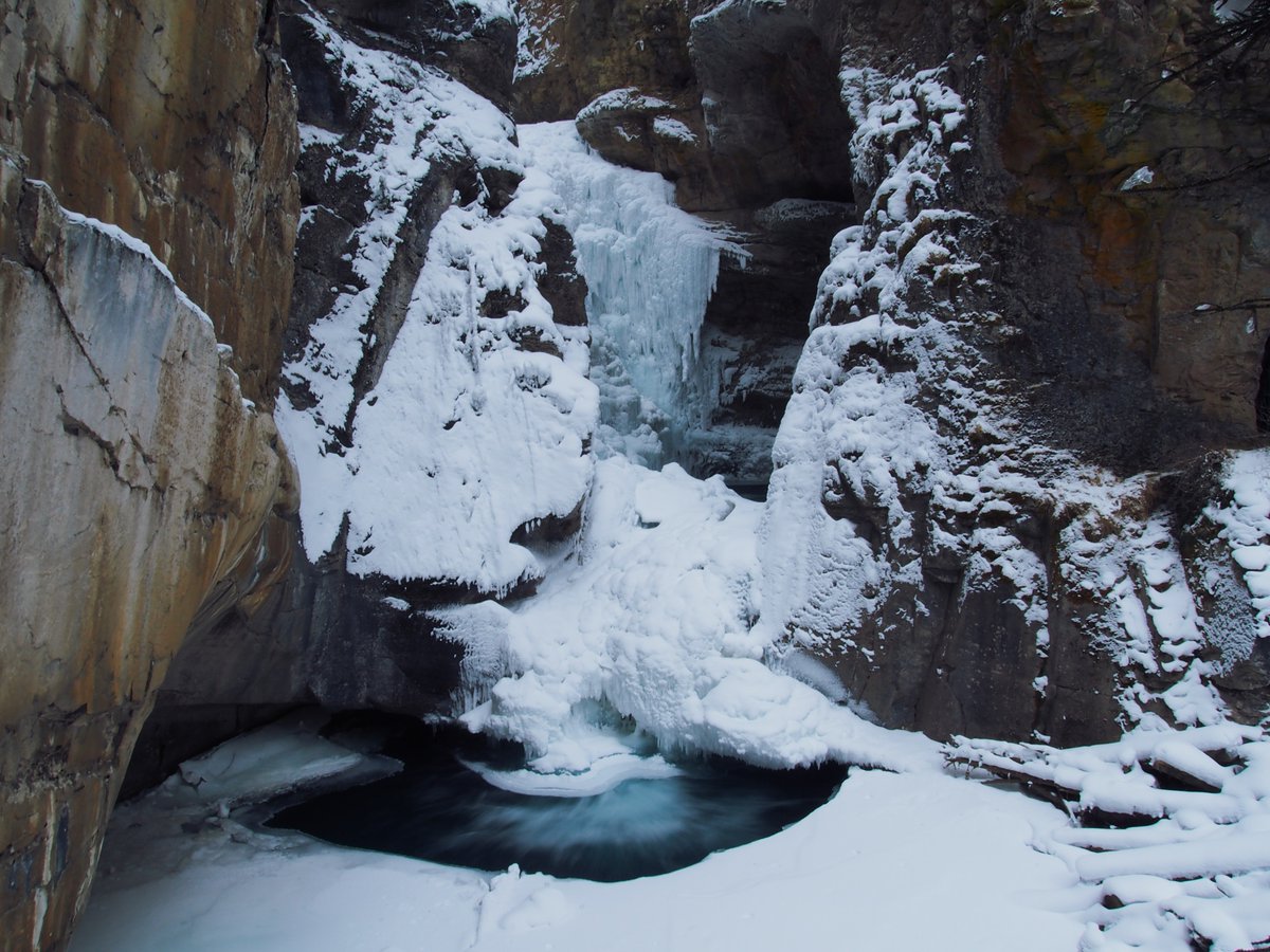 Beaver_Socks's tweet photo. @carriecmoney More ice for you! https://t.co/kXtjZOCNz2