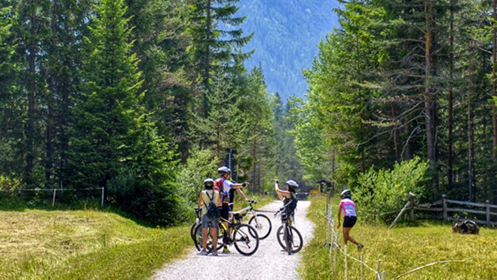 trevisotoday's tweet photo. Una pista ciclabile da Cortina fino a Jesolo: il sogno diventa realtà https://t.co/PztPM6jd3H https://t.co/DK5iIDPqjJ