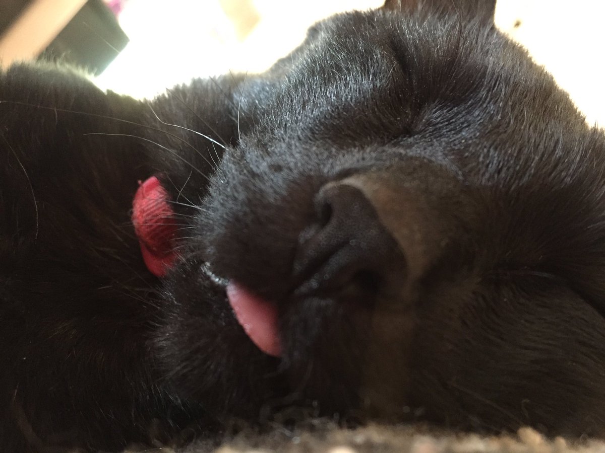 veares9's tweet image. Yo, todas estas vacaciones 😪