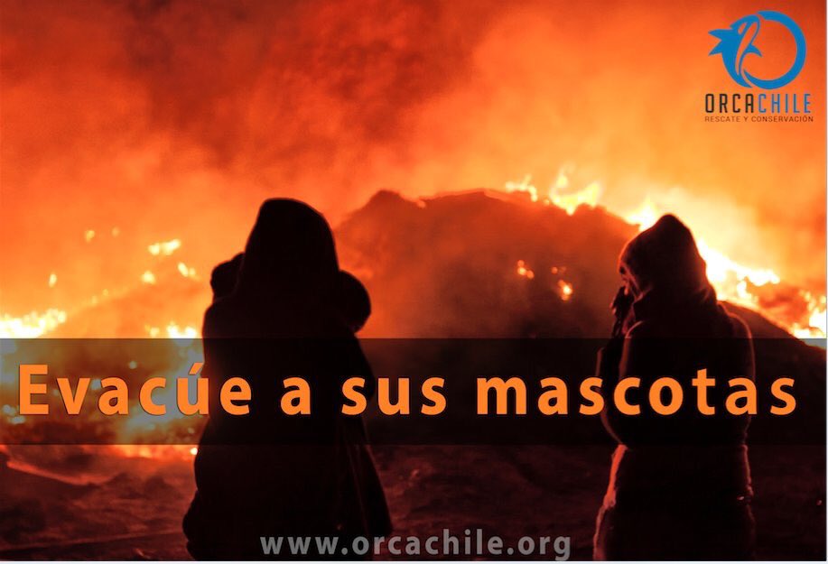 patrmarsh's tweet photo. Laguna Verde Recuerden evacuar con seguridad a sus mascotas y ayudar a los perros y gatos del camino.
Incendio descontrolado.
Alerta Roja https://t.co/K9IgaX5KYQ