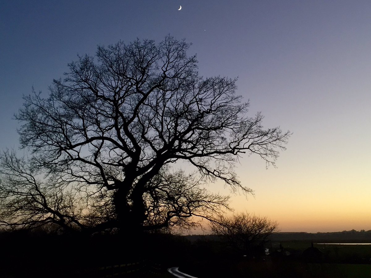 Moon and Venus over Buckenham Carr in Norfolk this evening. #crowwatching