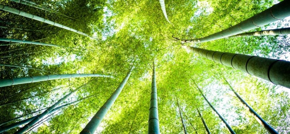 AdvisorAbbate's tweet photo. Is Your #Business in #Growth #Mode? via @Inc RT @FL_Business https://t.co/8iUgkbLyg3 https://t.co/8rpSbLTq5b