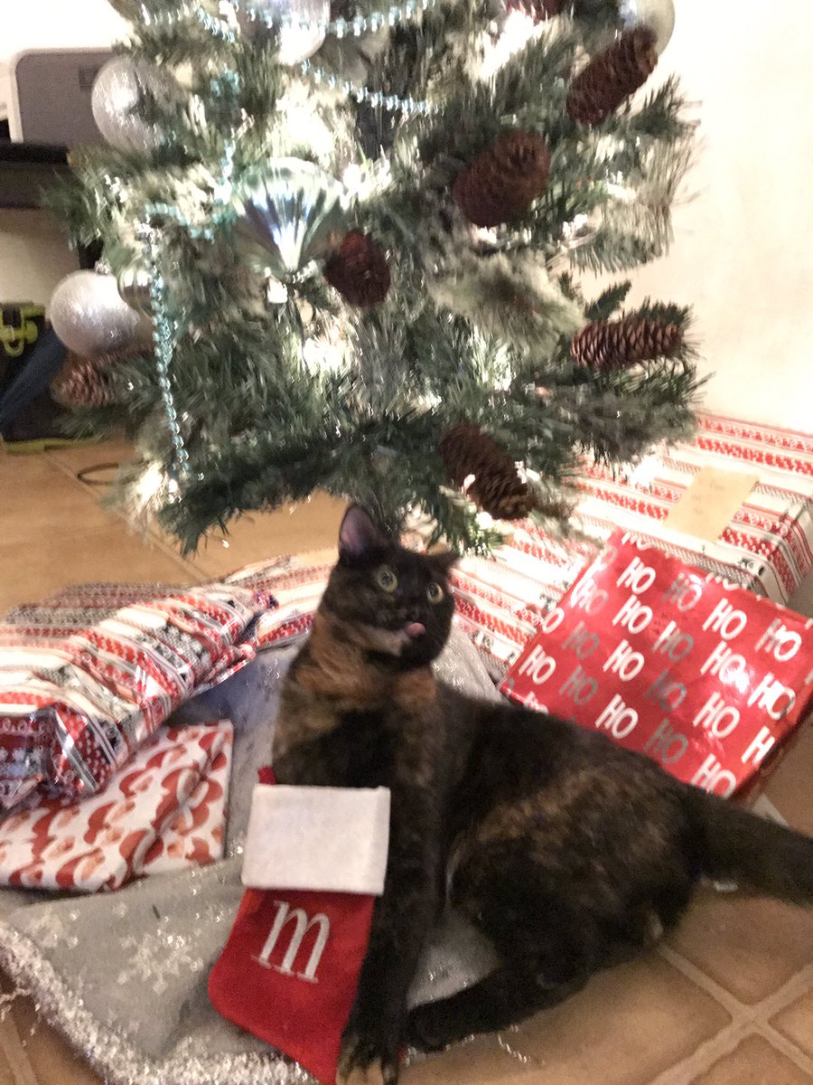 ridameister's tweet image. Here's your monthly update on Monkey #December2016