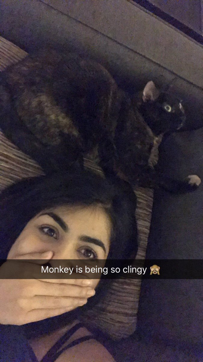 ridameister's tweet image. Here's your monthly update on Monkey #December2016