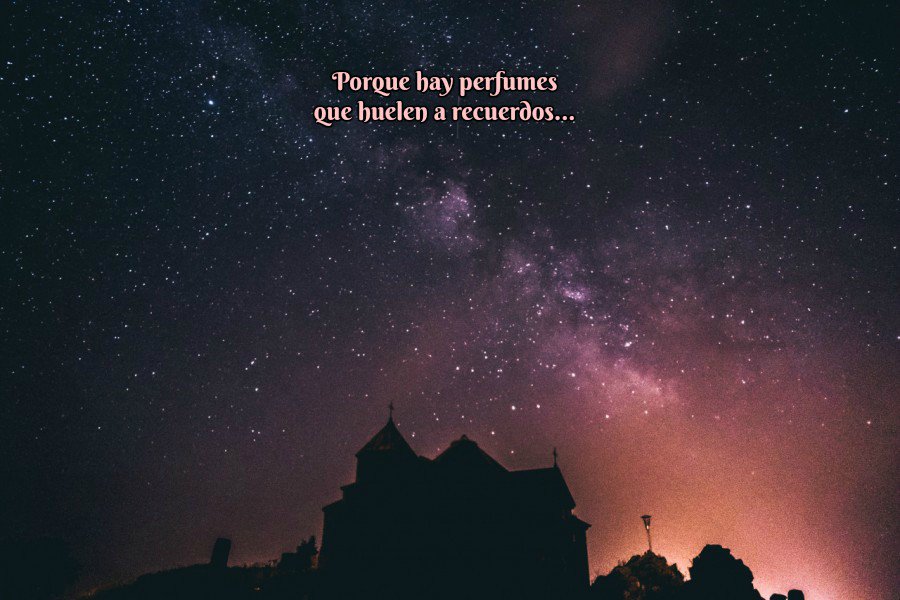 Krisherna's tweet photo. Recuerdo el aroma de tu perfume tan perfectamente invocado, que en vez de ser un simple recuerdo es como si estuvieras aquí, a mi lado. https://t.co/SQS3AnOkdb
