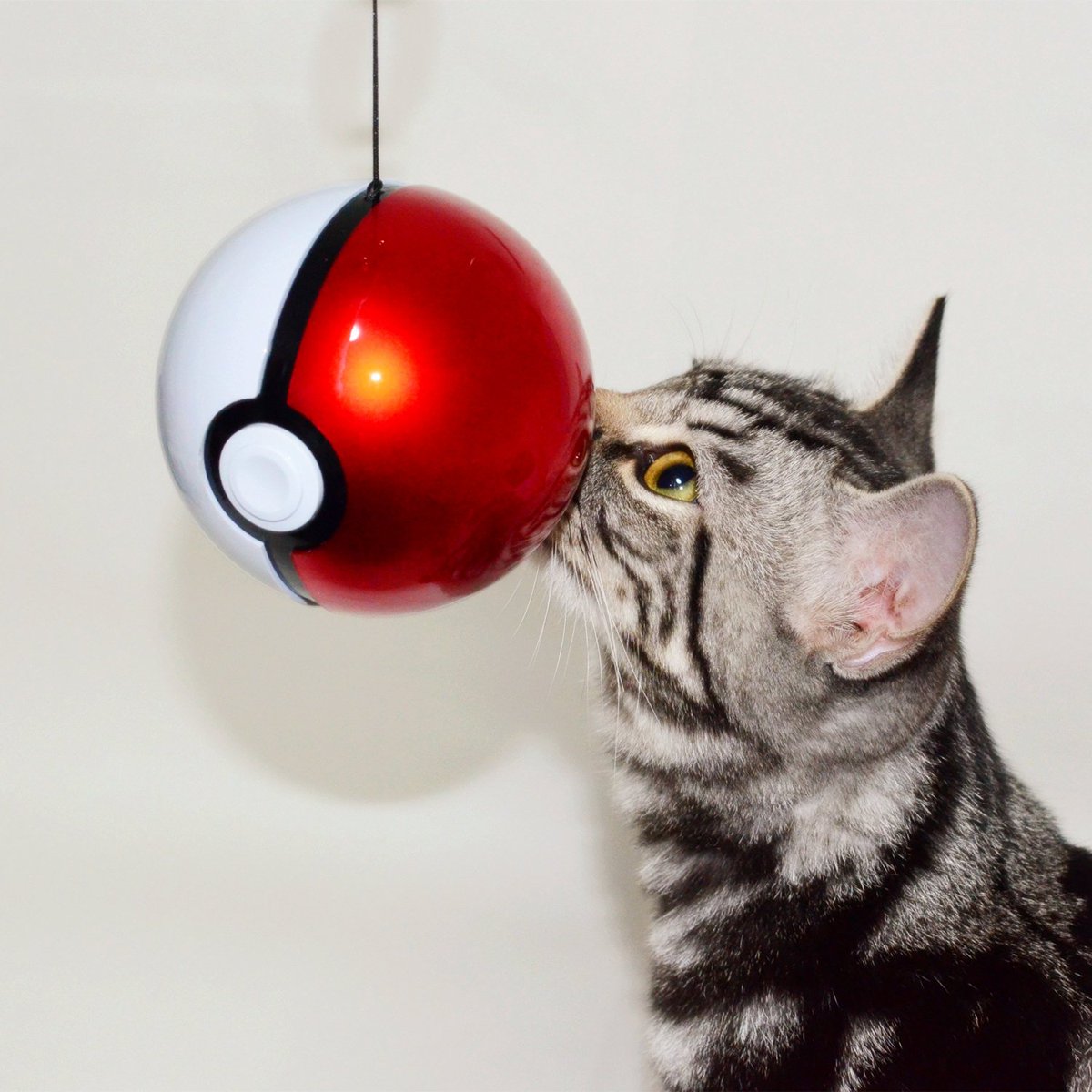 RT si quieres nuestra Batería Externa Pokéball!