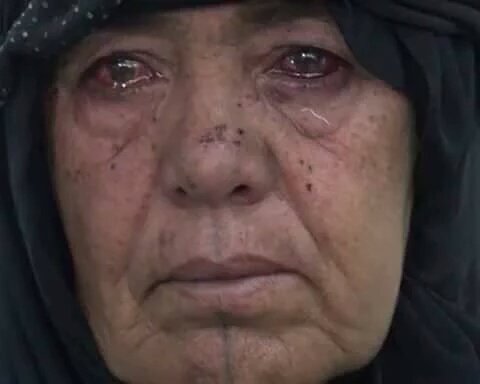 View image on Twitter