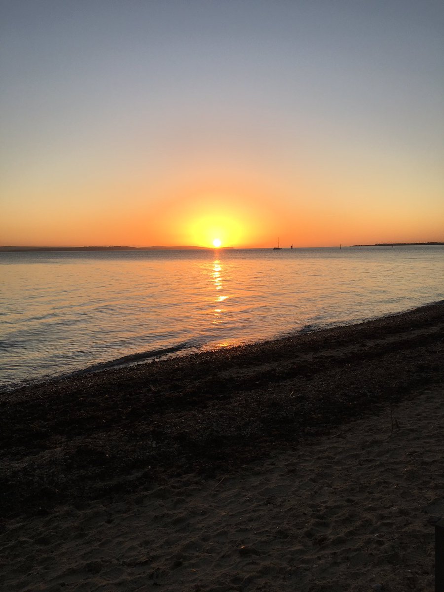 Lovely stroll this afternoon @LepeCountryPark