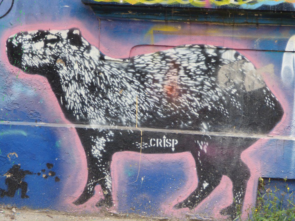 zero353's tweet image. The final countdown, 10 days in Colombia. adventuresintheether.wordpress.com/2017/01/02/the…