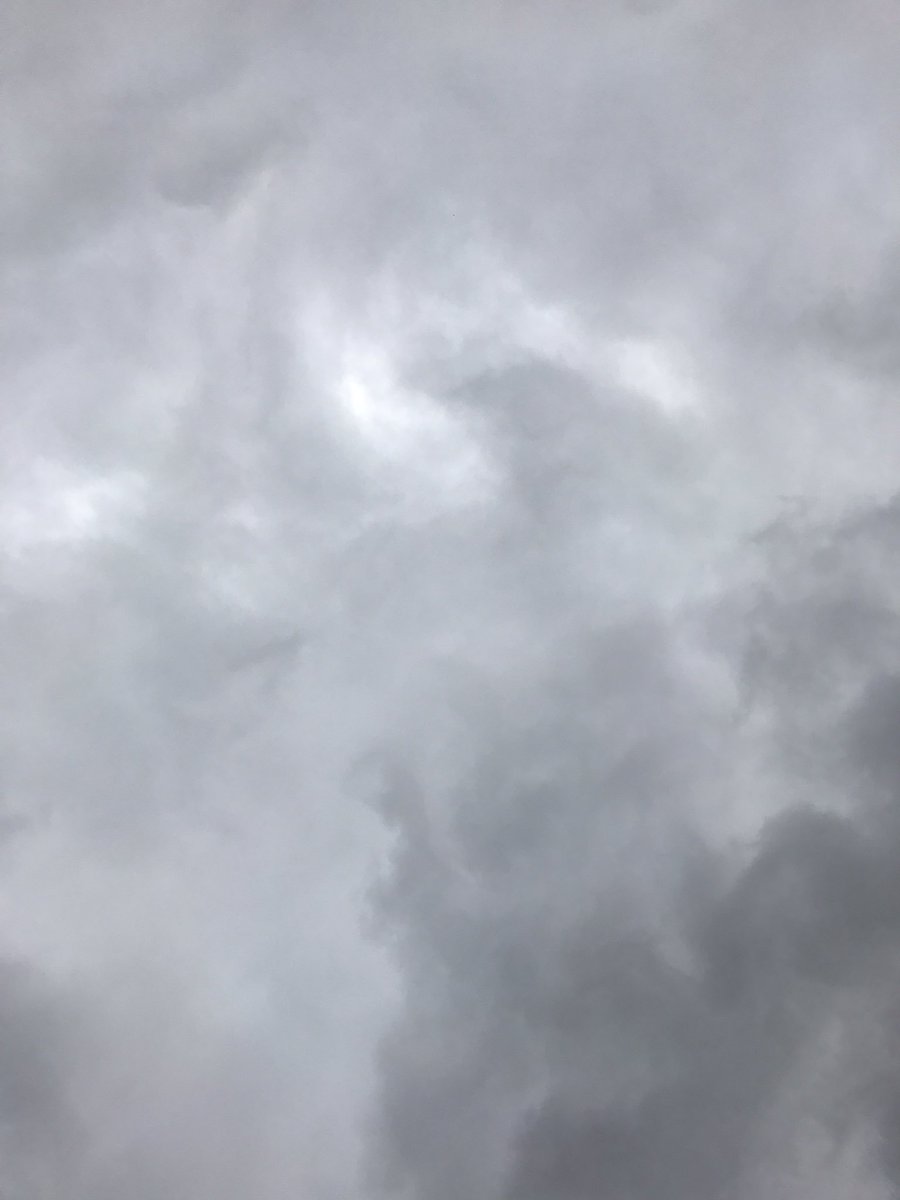 Roosashi1's tweet photo. I think summer doesn't want to go back to work either... #work #backtowork https://t.co/4K62quWGOw