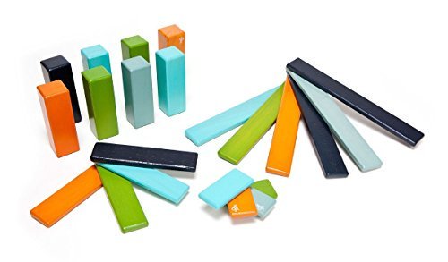 MagneticBlocks's tweet photo. Available for Sale Tegu Toys Endeavor Magnetic Wooden Blocks 22 Piece, Nelson https://t.co/kC6ePq3hOa #tegumagneticblocks #magnetictoyblocks https://t.co/CsbBIZhwVR
