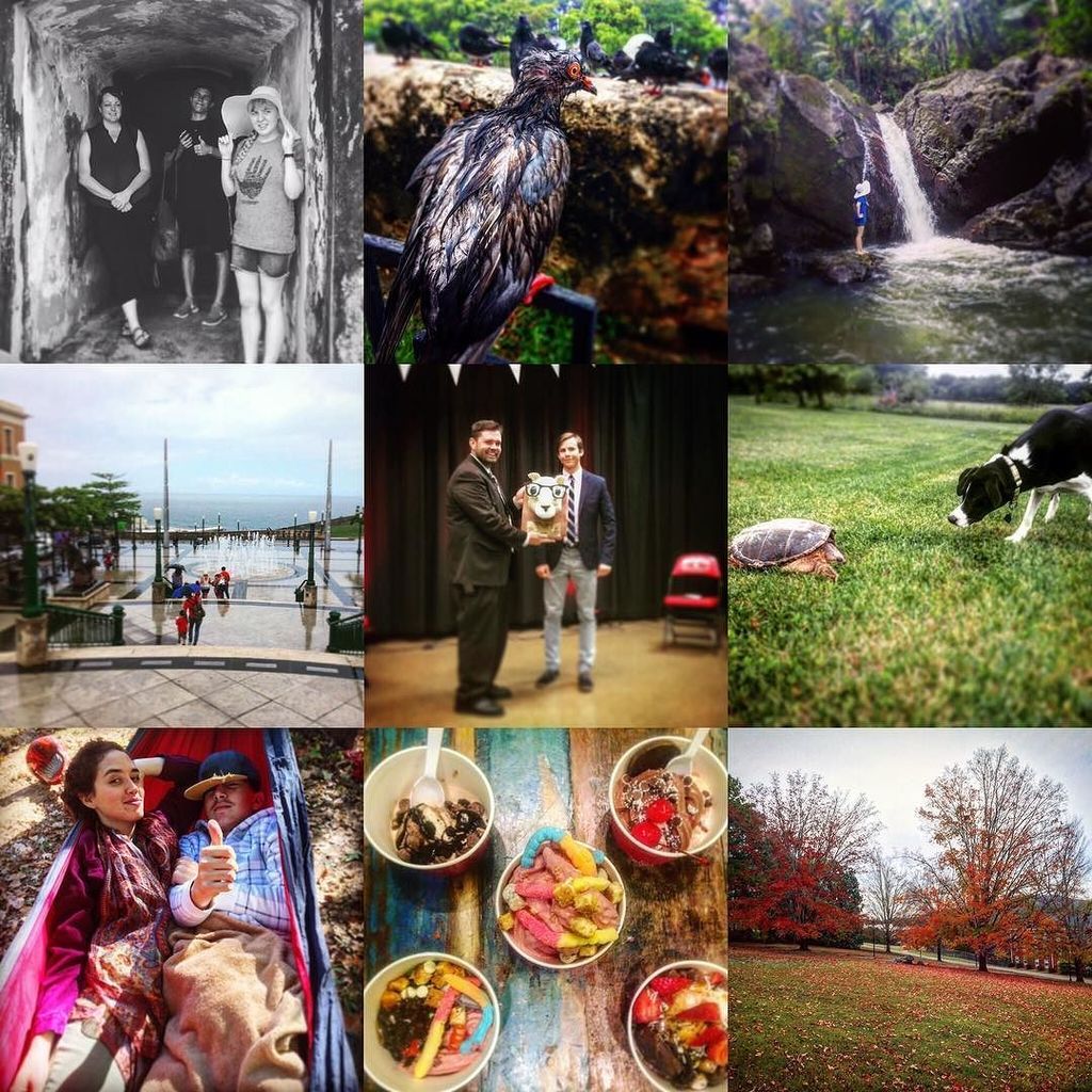 ijohnson86's tweet photo. In 2016, I went on a class trip to Puerto Rico, graduated high school, got a Border Collie… https://t.co/cyqlfNTTJ9 https://t.co/sQnGb8zFFb
