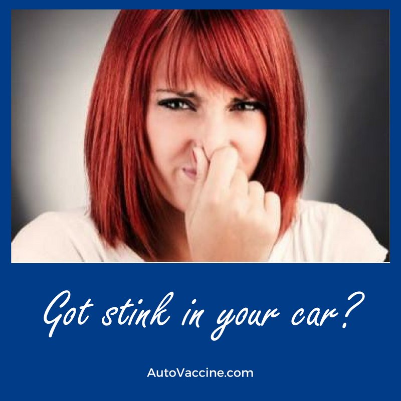 AutoVaccine's tweet image. Removing that unpleasant smell from your car is not a simple task; but with AutoVaccine.com, it's easy and quick! #carcare #mycar