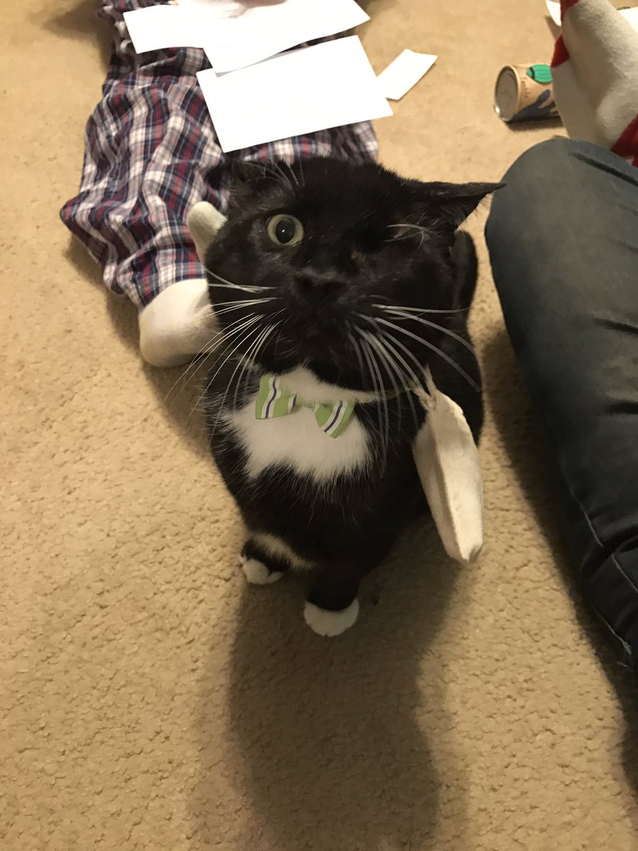 PositivelyAdopt's tweet photo. All Alastor Moody all the time :D

Twitter - https://t.co/26SfyHemva
Instagram - https://t.co/kCBLi9A1qK
Facebook - https://t.co/3VSYRliRrU https://t.co/nkc894RFhW