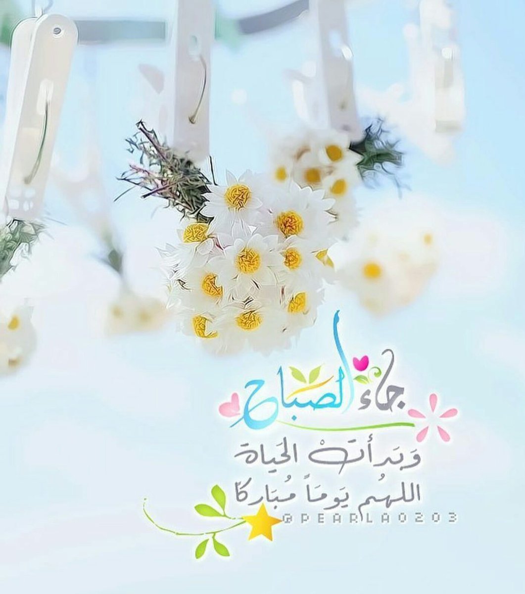 ﴿ والصبحِ إذا تنفس﴾

🕊〰توكل على الله

وردّد أذكـارك

وتفائل وابتسم〰

🍃🌼أصبحنا وأصبح المُلك لله🍃🌼

#غرد_لتثاب #قروبات_الخير #قطوف_دعوية