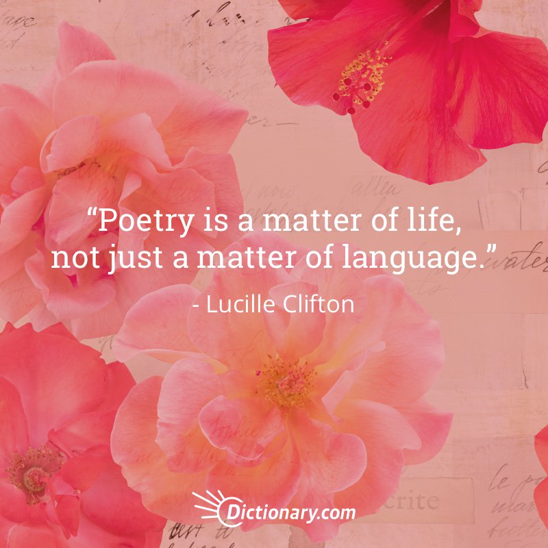 Dictionarycom's tweet photo. https://t.co/hu8rypGGqG