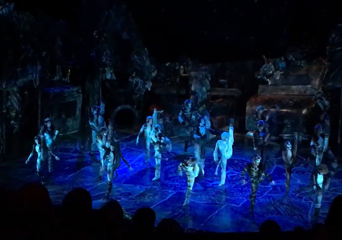 Titchenerrr's tweet photo. One year ago today I did my last jellicle ball at The London Palladium #howtimeflies #kickyourface #catsthemusical #london #coricopat 😻 https://t.co/fTZfWts6qw