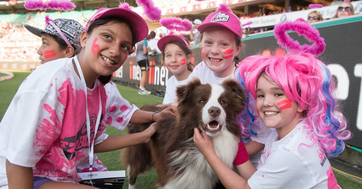 Sydney Sixers WBBL tweet media