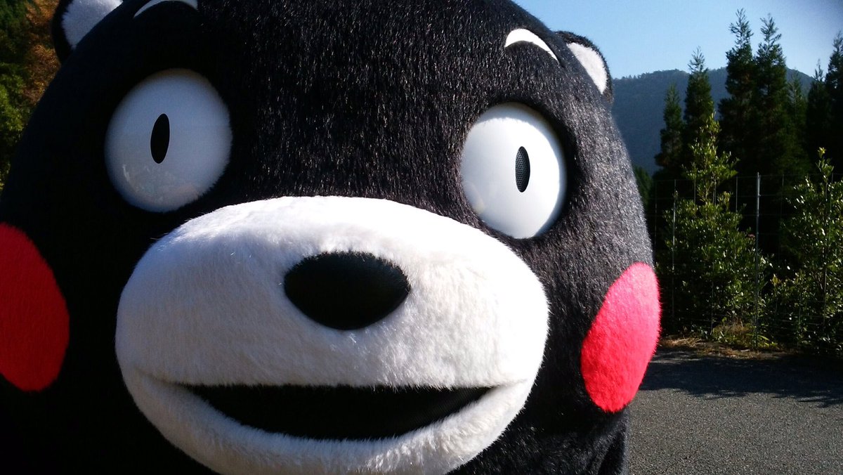 55_kumamon's tweet photo. おはくま〜！今日も1日よろしくまっ☆ https://t.co/1oCqbTXUI8