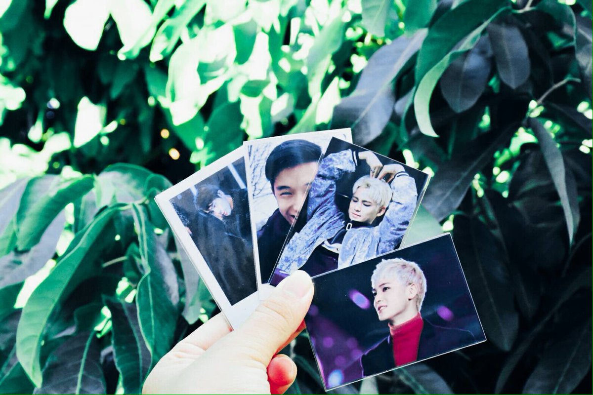 รับทำโพลารอยด์ tweet media