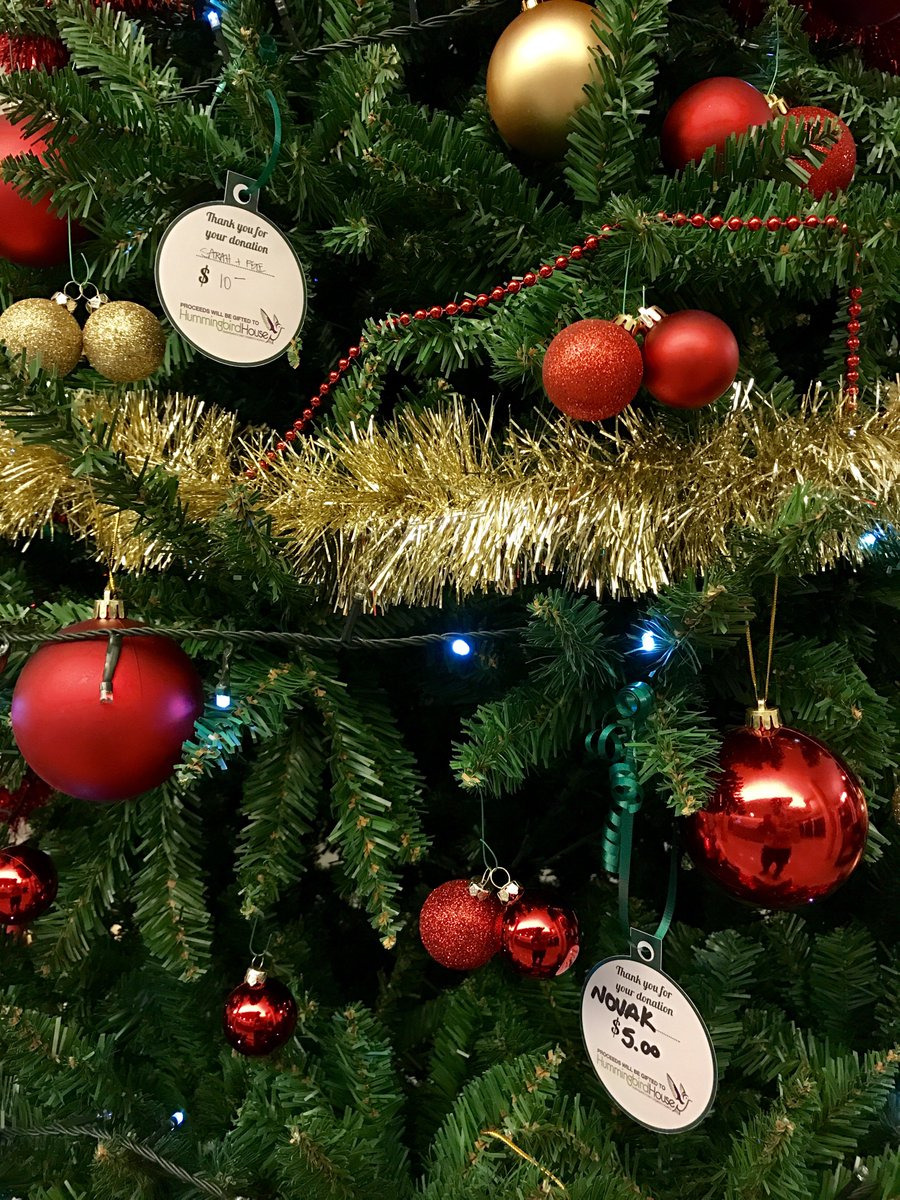 Thanks to all who purchased a bauble in Bris. Your donations, matched by the Erdi Foundation raised over $1K this Xmas for #hummingbirdhouse