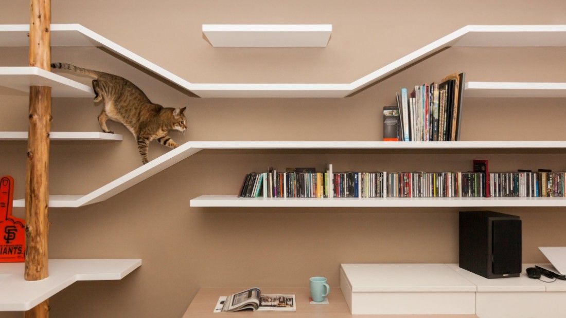 Cat flats: designing human apartments for feline friends 
via <a href="/CNNStyle/">CNN Style</a> 
buff.ly/2j2f1mQ
#Taipei #cats #architecture