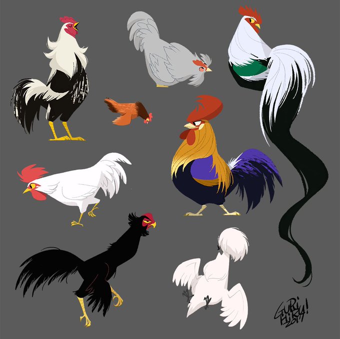 「bird chicken」 illustration images(Oldest)